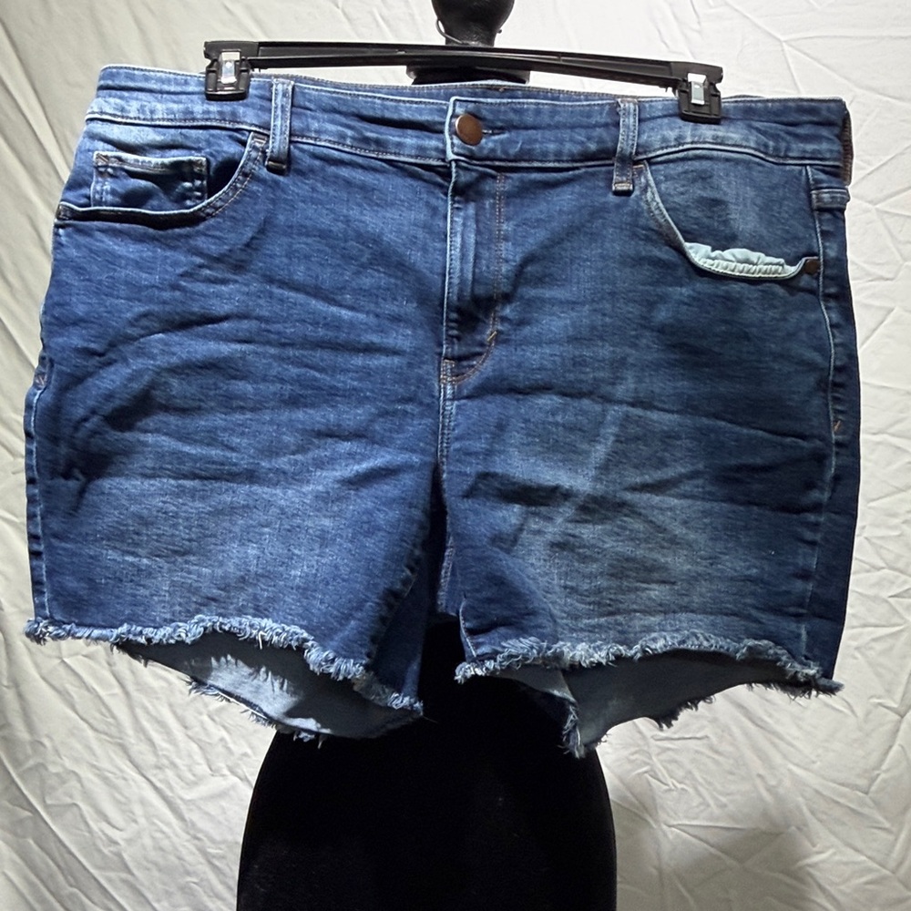 Women's Denim Frayed Hem Shorts - Blue